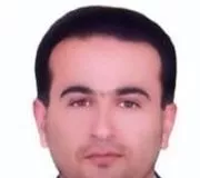محمد حسین زروک