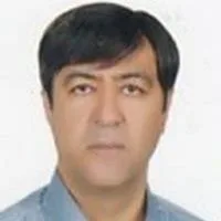 تصویر پروفایل دکتر محمدباقر دبیری - دکترای حرفه‌ای پزشکی در کرج