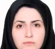 نگار کریمی بیرگانی