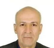 دکتر محمدحسین محمودی