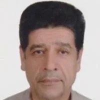 تصویر پروفایل دکتر سیدحسین حامی - دکترای حرفه‌ای پزشکی