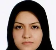 وینا عجمی قلعه رشیدی