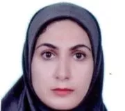 مریم ترکمن چه