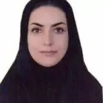 هما قلعه نوئی