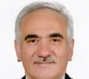 دکتر سید محمدحسین موسوی نیک