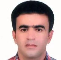 تصویر پروفایل دکتر صفا آهون - متخصص بیماری‌های داخلی در دهدشت