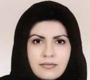 سارا برهانی منجیلی