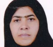 هما محمدی زاده
