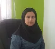 تصویر پروفایل دکتر آمنه عابدی - دکترای حرفه‌ای پزشکی در شیراز