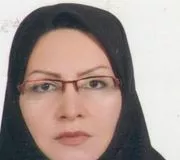 تصویر پروفایل دکتر پروین میرزایی - روانشناس در تهران