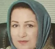 دکتر مینا سلطانی فر