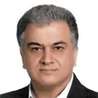 سید امیرحسین سنبلستان