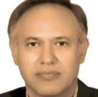 تصویر پروفایل دکتر سعید بزرگی زاده - دکترای حرفه‌ای دندانپزشکی در تهران