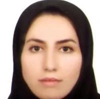 تصویر پروفایل دکتر نشمیل اندیشه - متخصص بیماری‌های داخلی در کامیاران