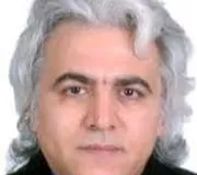 تصویر پروفایل دکتر نادر مبرزی - دکترای حرفه‌ای دندانپزشکی در شیراز