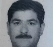 محمدحسین انصاری