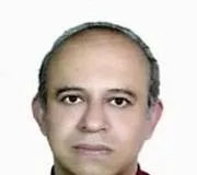 تصویر پروفایل شاهین اردوبادی - روانشناس در ارومیه