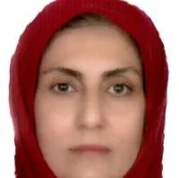 تصویر پروفایل دکتر خدیجه ابراهیم نژادآق مشهدی - متخصص زنان و زایمان