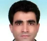 دکتر حسن شاهمیری