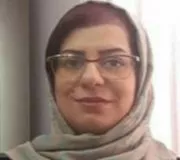 مریم شمس الدین میگونی