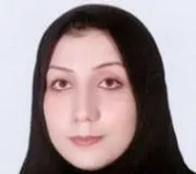 تصویر پروفایل دکتر رضا عامری حیدری - دکترای حرفه‌ای پزشکی در چهاردانگه