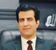 دکتر مجتبی احمدی