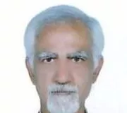 تصویر پروفایل دکتر شمس الدین انصاری دزفولی - علوم تغذیه