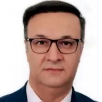 دکتر رحمت اله ربیعی