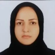 منیر صفاپور