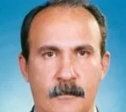 دکتر غلامعلی ارزاقی