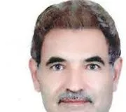 تصویر پروفایل دکتر اسمعیل صدری - متخصص بیماری‌های کودکان در شیراز
