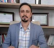 شاهین بزرگی