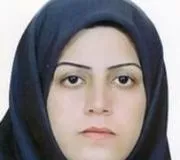 اکرم دولت‌مندان یاوری