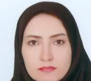 فریبا حسینی