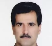 دکتر محمدتقی گرجی