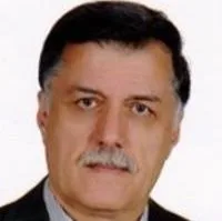 تصویر پروفایل دکتر سید احمد علوی فومنی - متخصص بیماری‌های داخلی در همدان