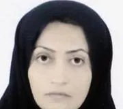 اشرف پورمیر