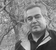 تصویر پروفایل دکتر محمد فتحی - دکترای حرفه‌ای دندانپزشکی در سقز