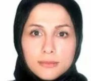 سیده مهری دریاباری