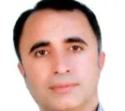 دکتر وحید محمودی