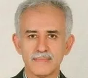 دکتر محمد حسن شلویری