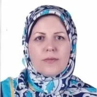 تصویر پروفایل دکتر سکینه حاج ابراهیمی - فلوشیپ اورولوژی زنان، جراحی کلیه، مجاری ادراری و تناسلی زنان در تبریز