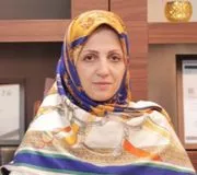 تصویر پروفایل دکتر سمیه معین درباری - متخصص زنان و زایمان در مشهد