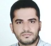 تصویر پروفایل مهران ترکزبان - روانشناس در پردیس