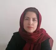 تصویر پروفایل نوشین محمدپور - علوم تغذیه