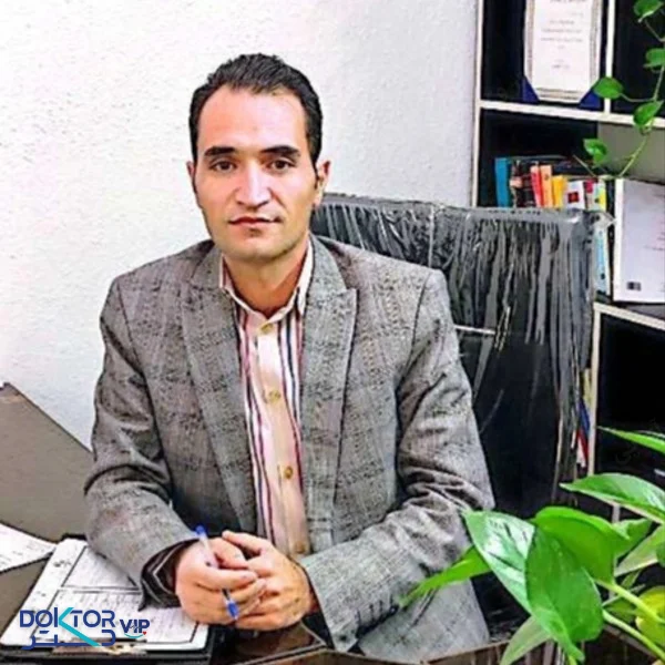 حسین طلعتی