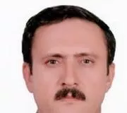 تصویر پروفایل دکتر محمد حسین پور - دکترای حرفه‌ای داروسازی