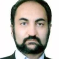 دکتر محمدرضا مزیدی شرف آبادی