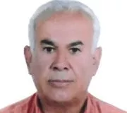 تصویر پروفایل ابراهیم نخستین - روانشناس در شیراز
