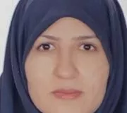 تصویر پروفایل مریم مومنی ازندریانی - روانشناس